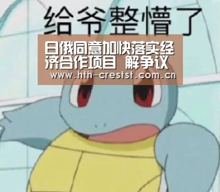 日俄同意加快落实经济合作项目 解争议领土问题_华体会(图1) 华体会